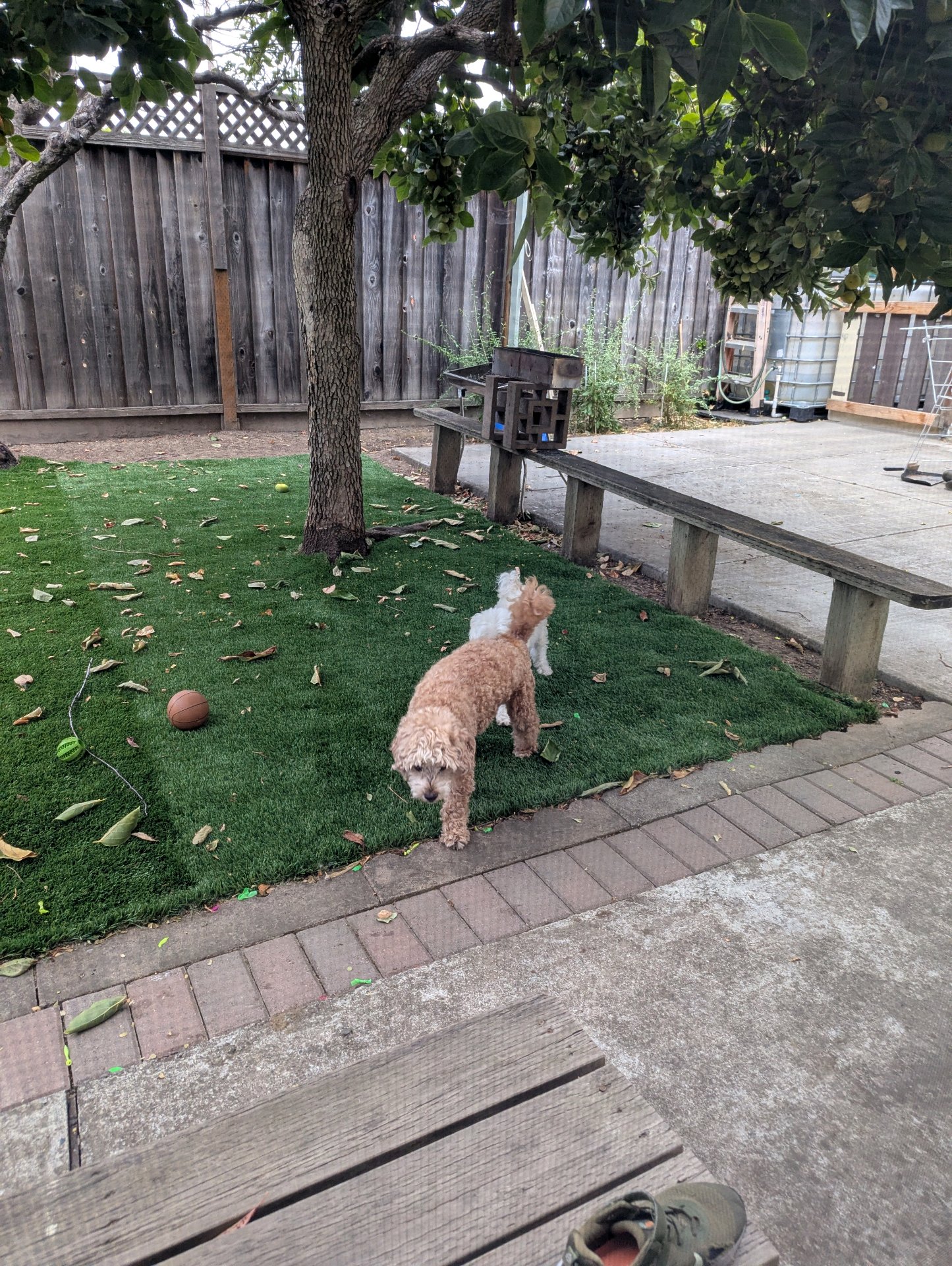 Spacious play area and playtime